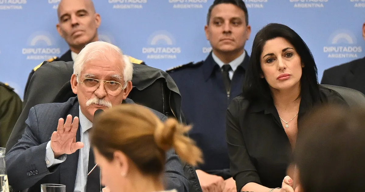 Aliados de Milei objetan artículos penales de la ley Malvinas