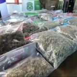 Investigan posible captación de dos adolescentes en Puerto Cabello