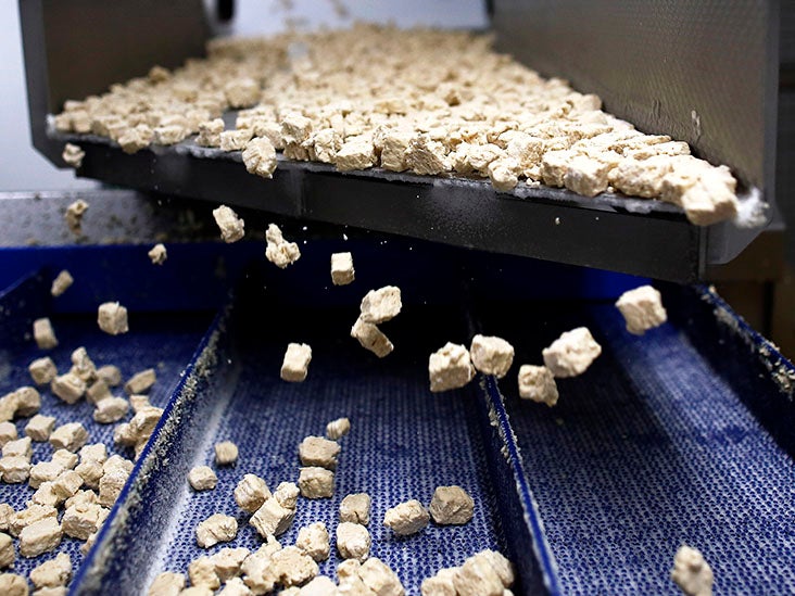 ¿Puede la proteína vegana apoyar la construcción muscular de manera efectiva como la proteína animal?