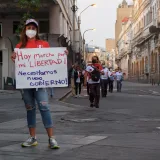 Protesters in Lima, Peru express their demand for government change in a peaceful march.