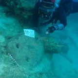 Descubren en Turquía los restos del naufragio más antiguo del mundo