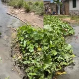 Vecinos de La Democracia de Maturín denuncian cloacas colapsadas
