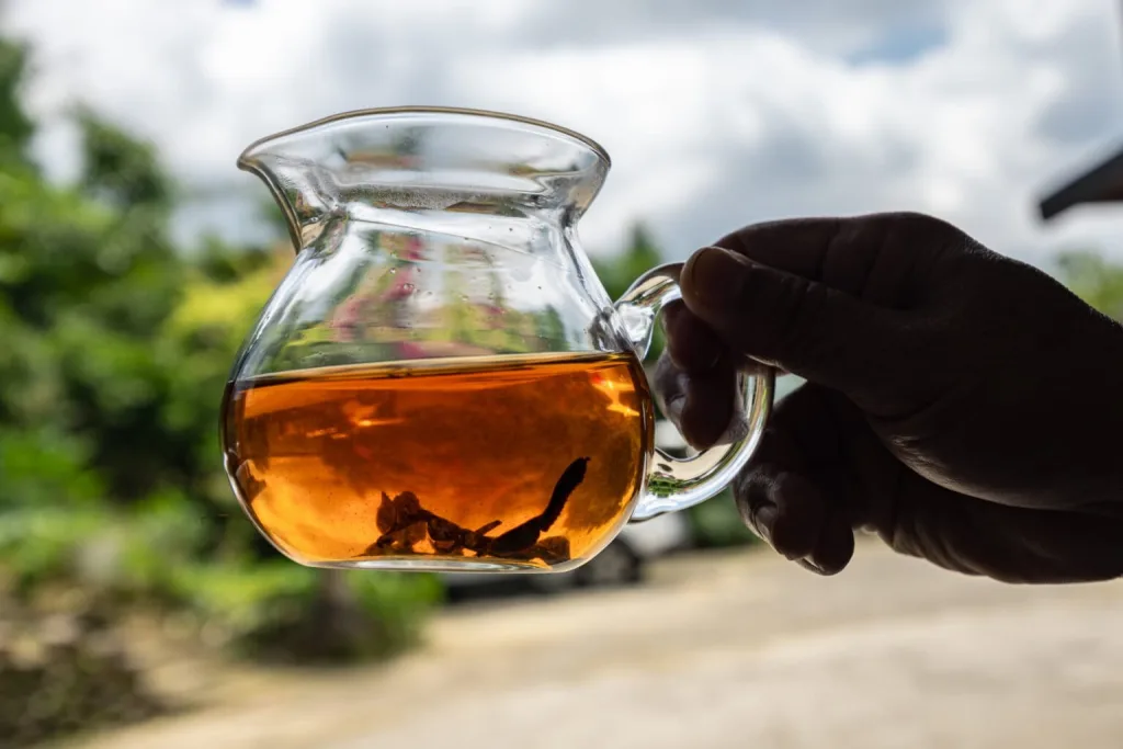 El té resurge en Taiwán con tecnología contra el clima