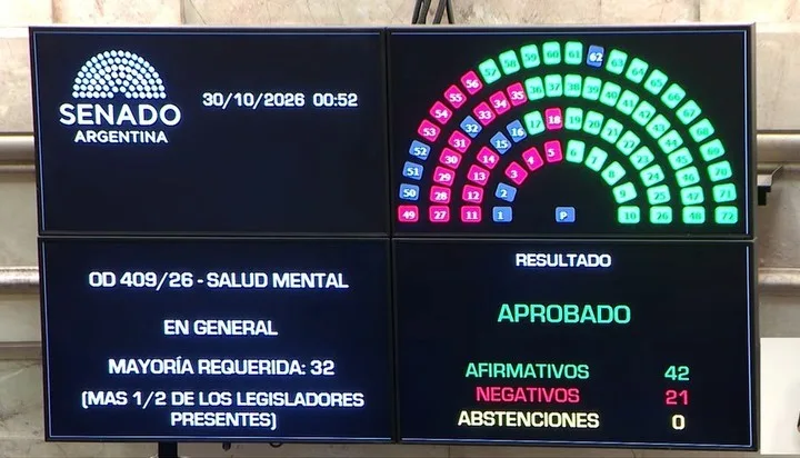 El Senado dio media sanción a la reforma de salud mental