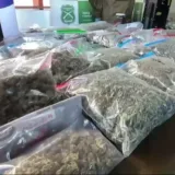 Carabineros decomisa 22 kilos de drogas en Valdivia
