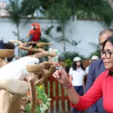 Delcy Rodríguez muestra atención de morrocoyes en un área verde