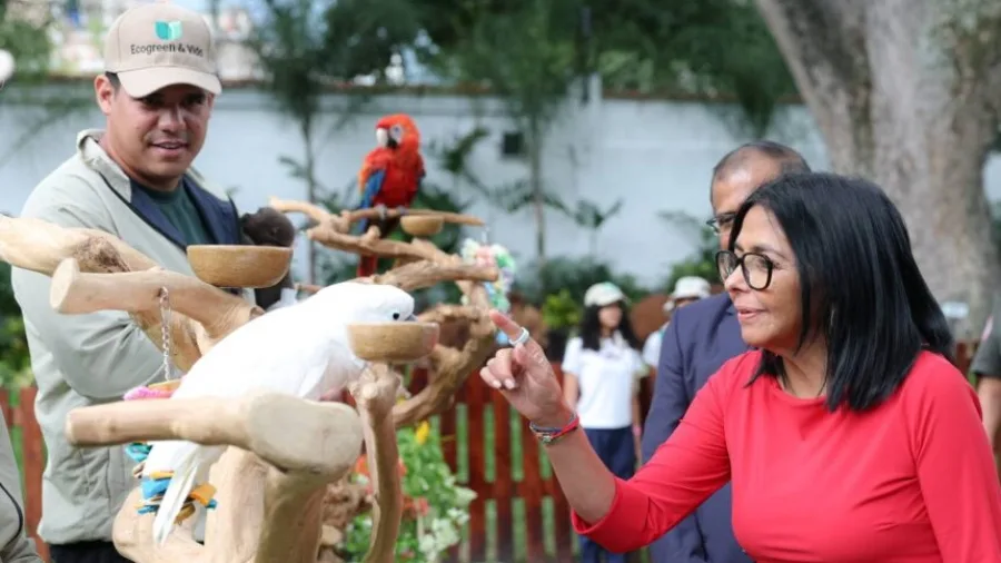 Delcy Rodríguez muestra atención de morrocoyes en un área verde