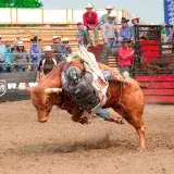 CLIPPVE exige indagar torturas en Rodeo I y sancionar responsables