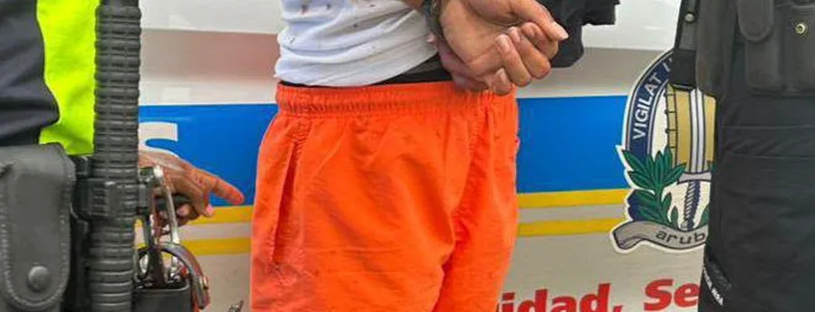 Aruba: dos hombres detenidos tras un operativo policial tenso