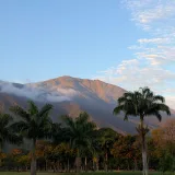 Stunning view of El Ávila mountain with palm trees at sunrise in Caracas, Venezuela.