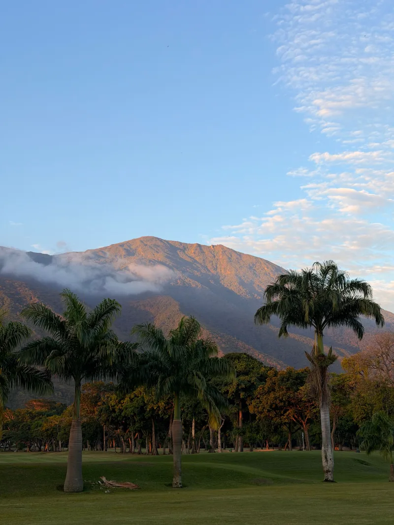 Stunning view of El Ávila mountain with palm trees at sunrise in Caracas, Venezuela.