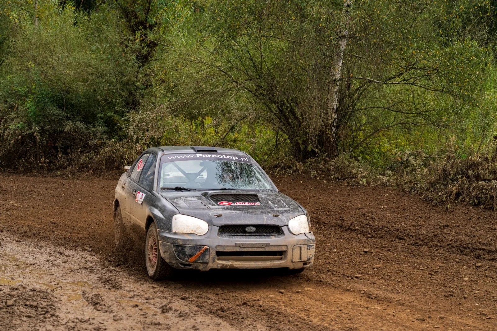 Un coche de rally todoterreno a toda velocidad por una pista embarrada en una zona boscosa de Polonia.