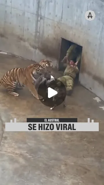 Publicación de Instagram de El Austral