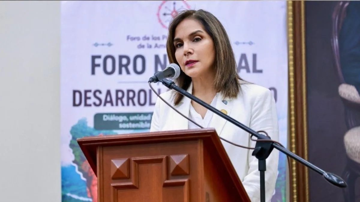 Juárez critica la ausencia de Luque en debate del Senado
