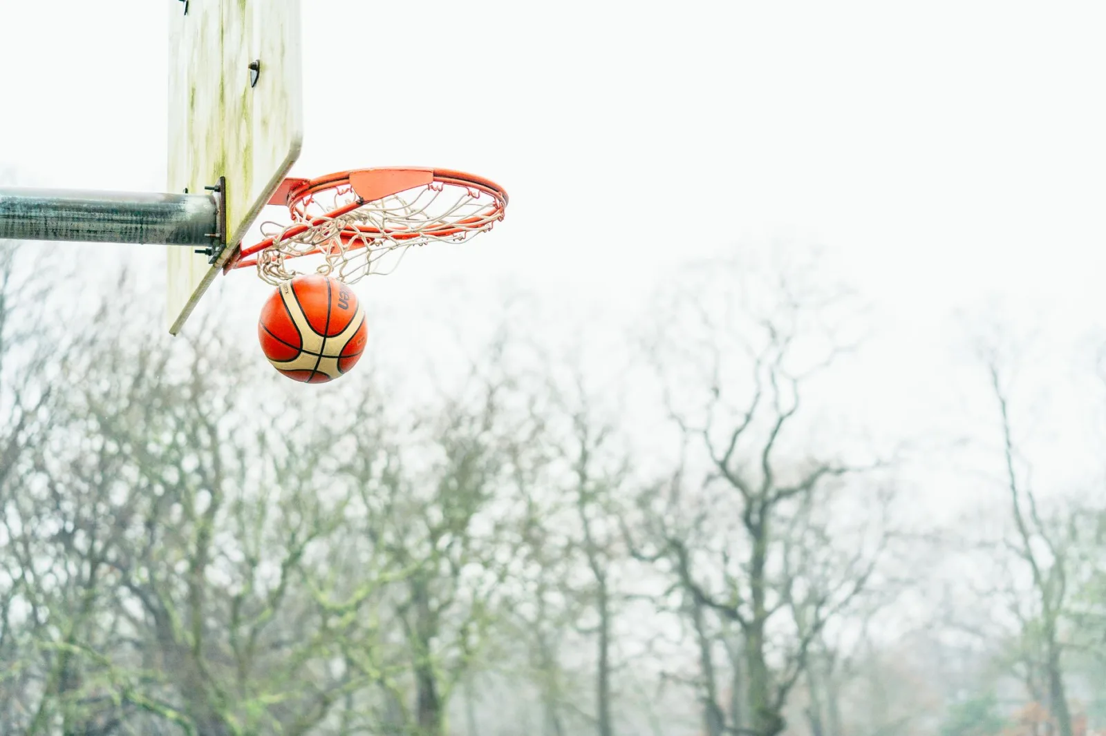 Canasta de baloncesto con una pelota en la red frente a un fondo de árboles en un día despejado.