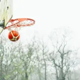 Canasta de baloncesto con una pelota en la red frente a un fondo de árboles en un día despejado.