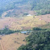 Hallan 432 geoglifos ocultos en la Amazonía brasileña