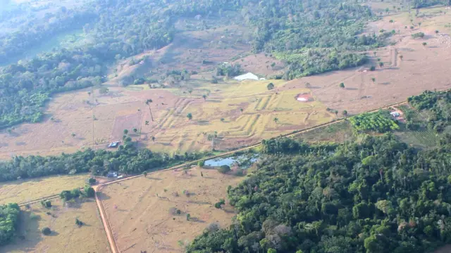 Hallan 432 geoglifos ocultos en la Amazonía brasileña