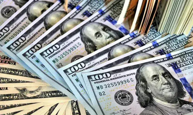 Dólar paralelo pierde valor al pasar de Bs. 25,11 a Bs. 24,93
