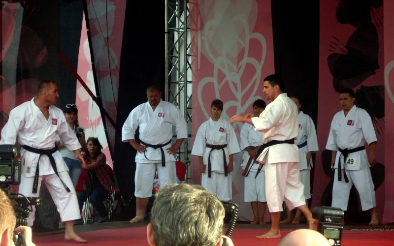 Equipo nacional de Karate Fudokan de Polonia en el III Encuentro de Fans de la serie de TV 'M jak miłość' en Gdynia 2009