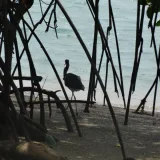 File:Fauna en Tirayá.jpg