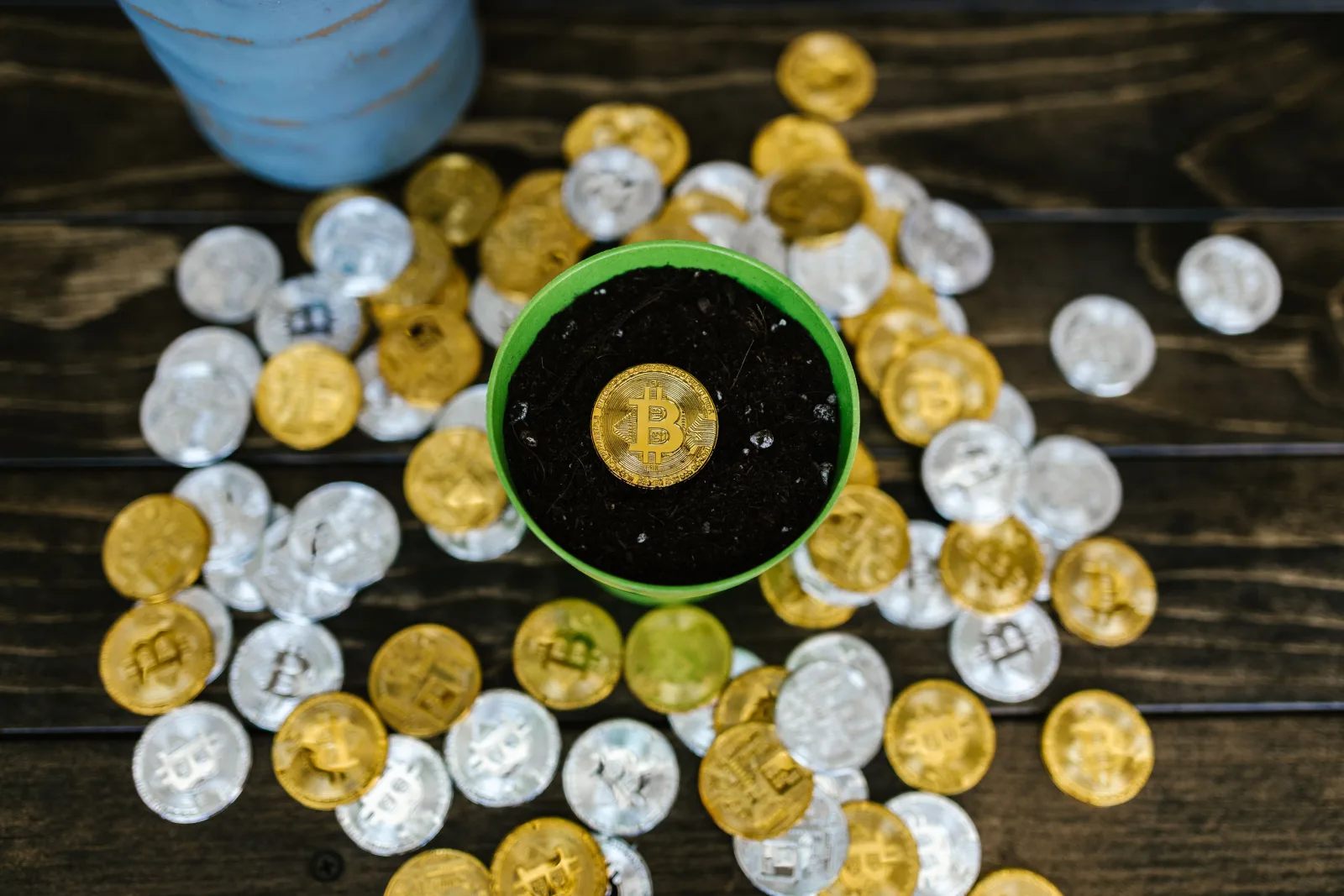Una creativa composición de bodegón con monedas de bitcoin en una maceta, que simboliza el crecimiento y la inversión.