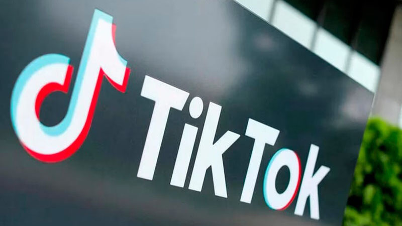 Por qué Francia prohibió TikTok, Netflix, Twitter y Candy Crush