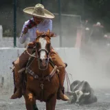 Dynamic action shot of a charro competing in a charreria event in Tlaxcala, Mexico.