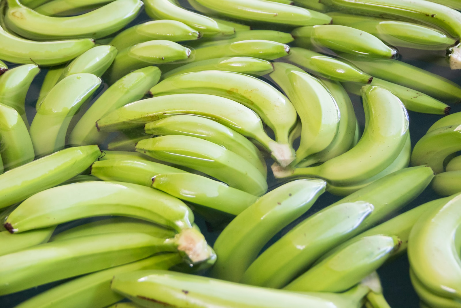Sabor de plátano, coco y mestizaje en Zulia