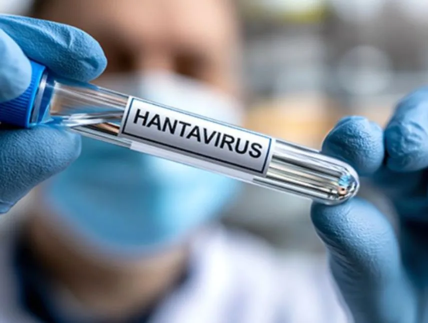 Chile activa alerta sanitaria por hantavirus en 13 regiones