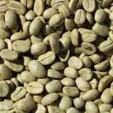 Venezuela escalaría al Top 11 mundial de café en 2026 con 4,7