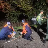 Trágico accidente en la autopista José Antonio Páez deja tres muertos