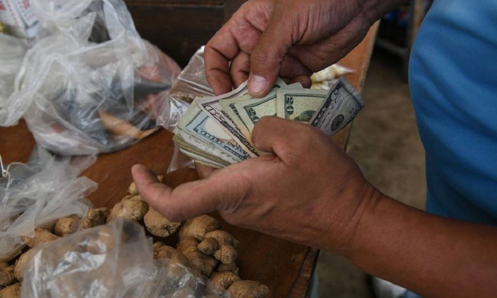 Gobierno estima que economía crezca más de 5 % este año