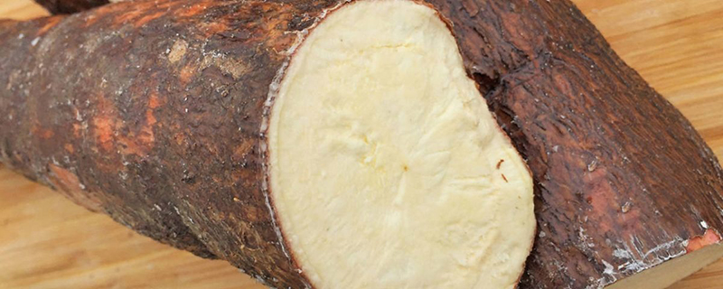 
			Siete niños intoxicados por comer yuca amarga en Maturín		