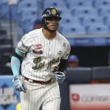 Bonaci se perfila como campocorto titular de los Leones del Caracas