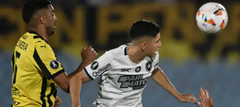 Botafogo de Jefferson Savarino clasificó a la final de la Libertadores