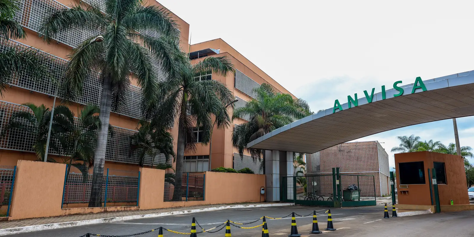 Anvisa ordena retirar un picolé y un suplemento por seguridad