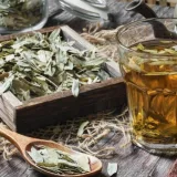Infusión de sen: claves, preparación y contraindicaciones