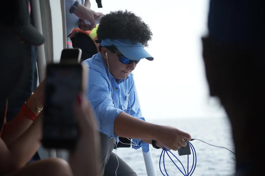 Ruido de barcos baja 45 % los cantos de ballenas en Panamá