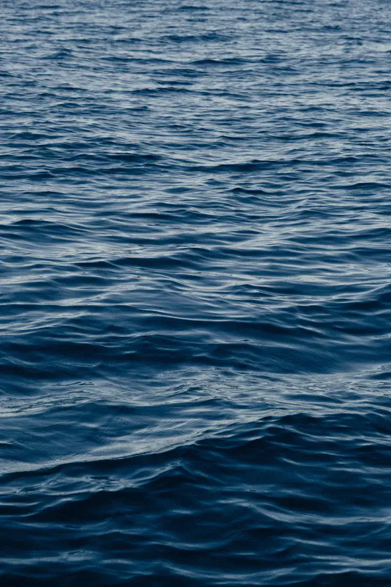 Calm ocean waves gently ripple across the water surface, capturing a moment of tranquility.