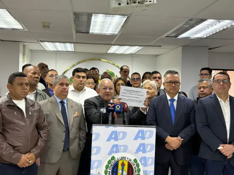 AD propone reforma constitucional sin reelección indefinida y menos ministerios
