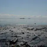 Pescadores del Lago sobreviven entre aguas contaminadas de verdín y petróleo