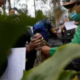 Condenan a 13 personas a 31 meses de cárcel por pelea de perros en Colombia