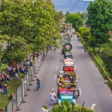Vibrant parade scene during Medellín's Feria de Flores, showcasing decorated jeeps surrounded by lush greenery.
