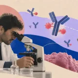 Los anticuerpos que buscan tumores cambian el cáncer de mama