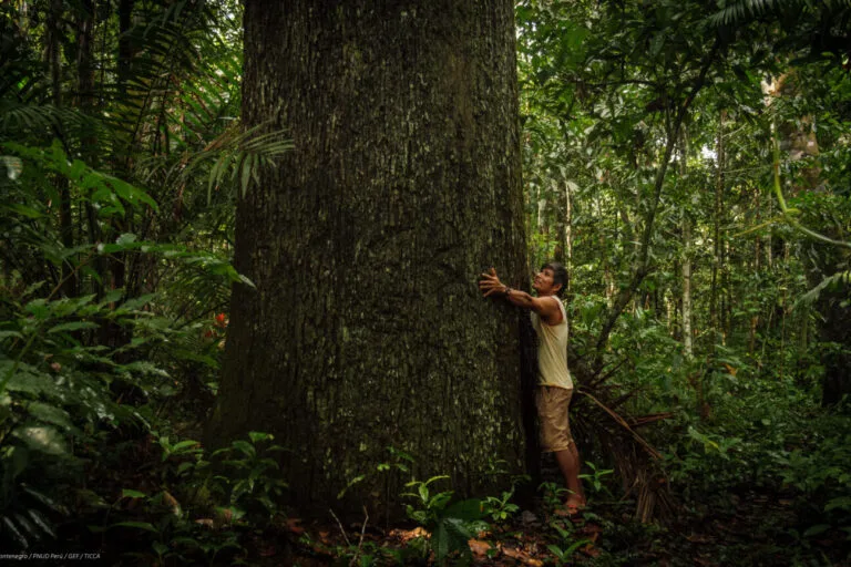 Base de datos reúne 500 proyectos de conservación en América Latina