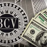 Cotización oficial del dólar y euro para el 14 de octubre