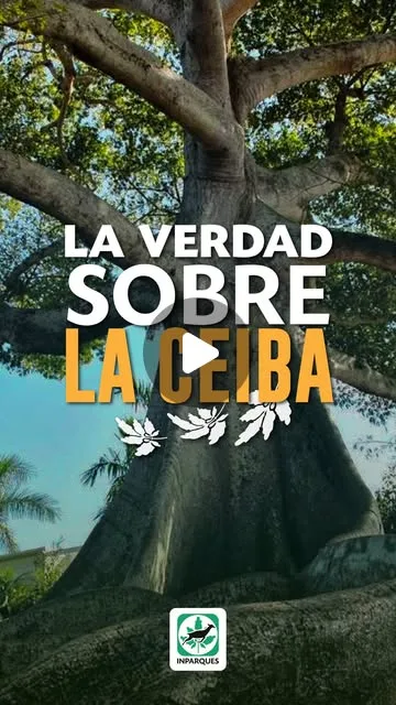 Publicación de Instagram de Instituto Nacional de Parques