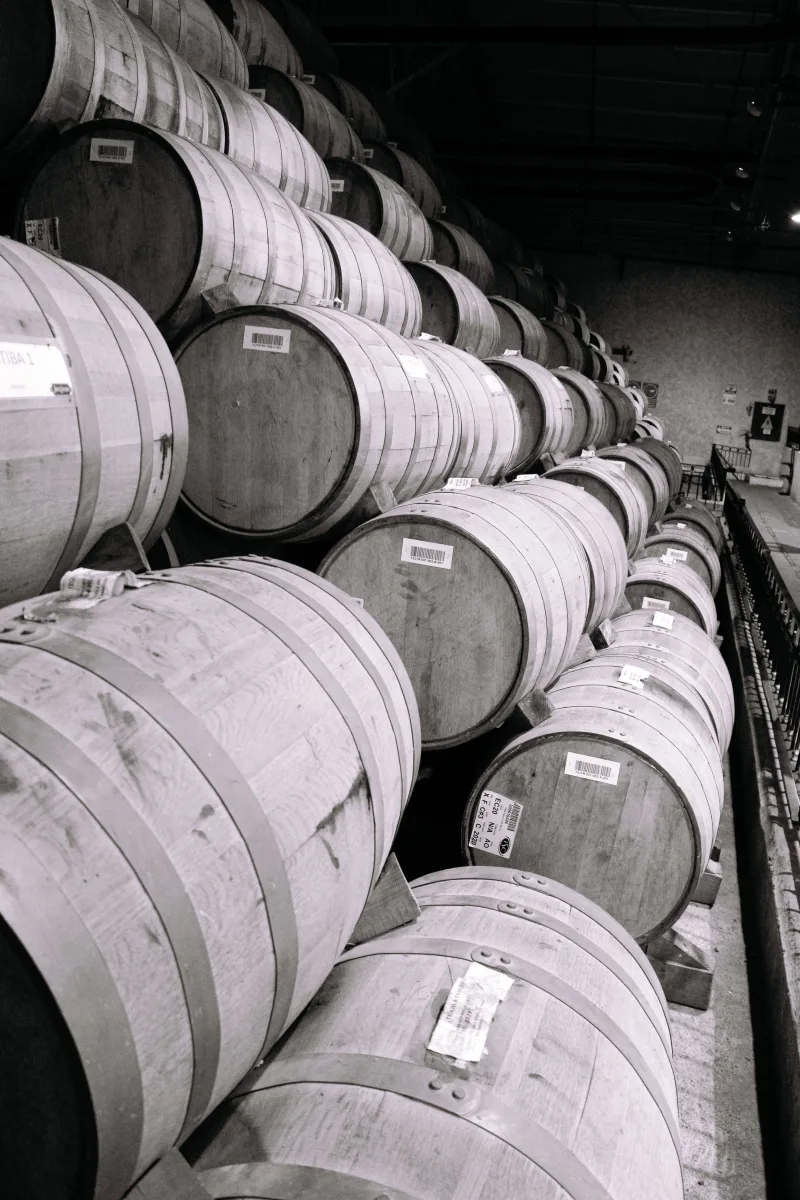 Row of wooden aging barrels inside a distillery in Tequila, Mexico.