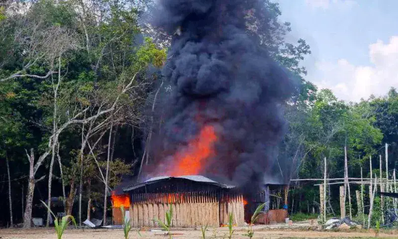 Desmantelan seis campamentos de narcotraficantes en el Zulia 